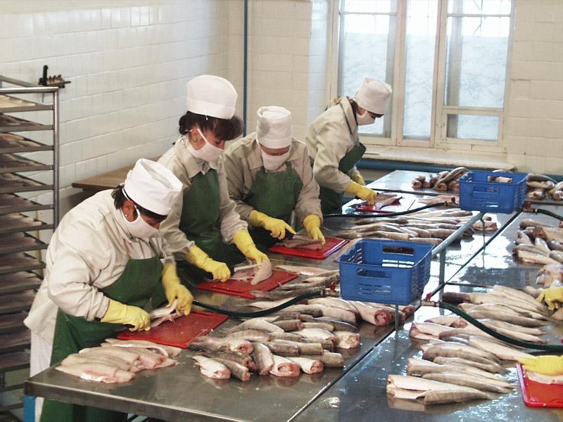 Processing fish